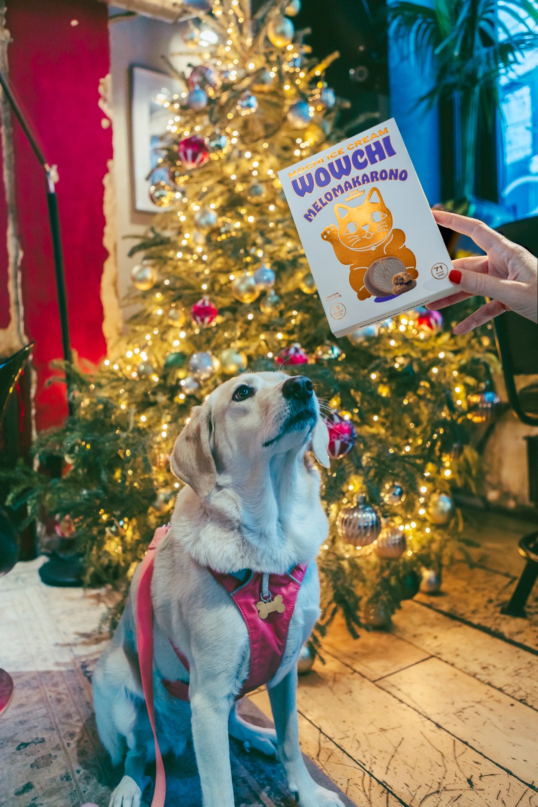 1747390253209465.jpg 1747390253209465.jpg