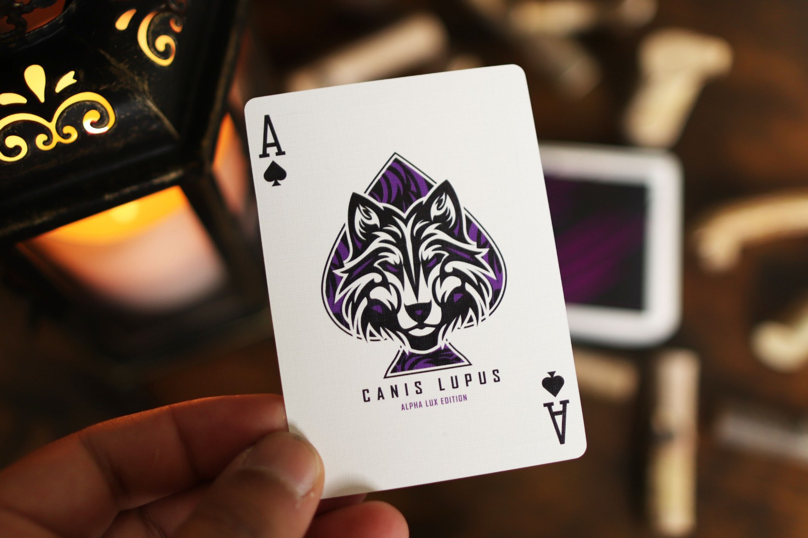 1751244703821417.jpg 1751244703821417.jpg