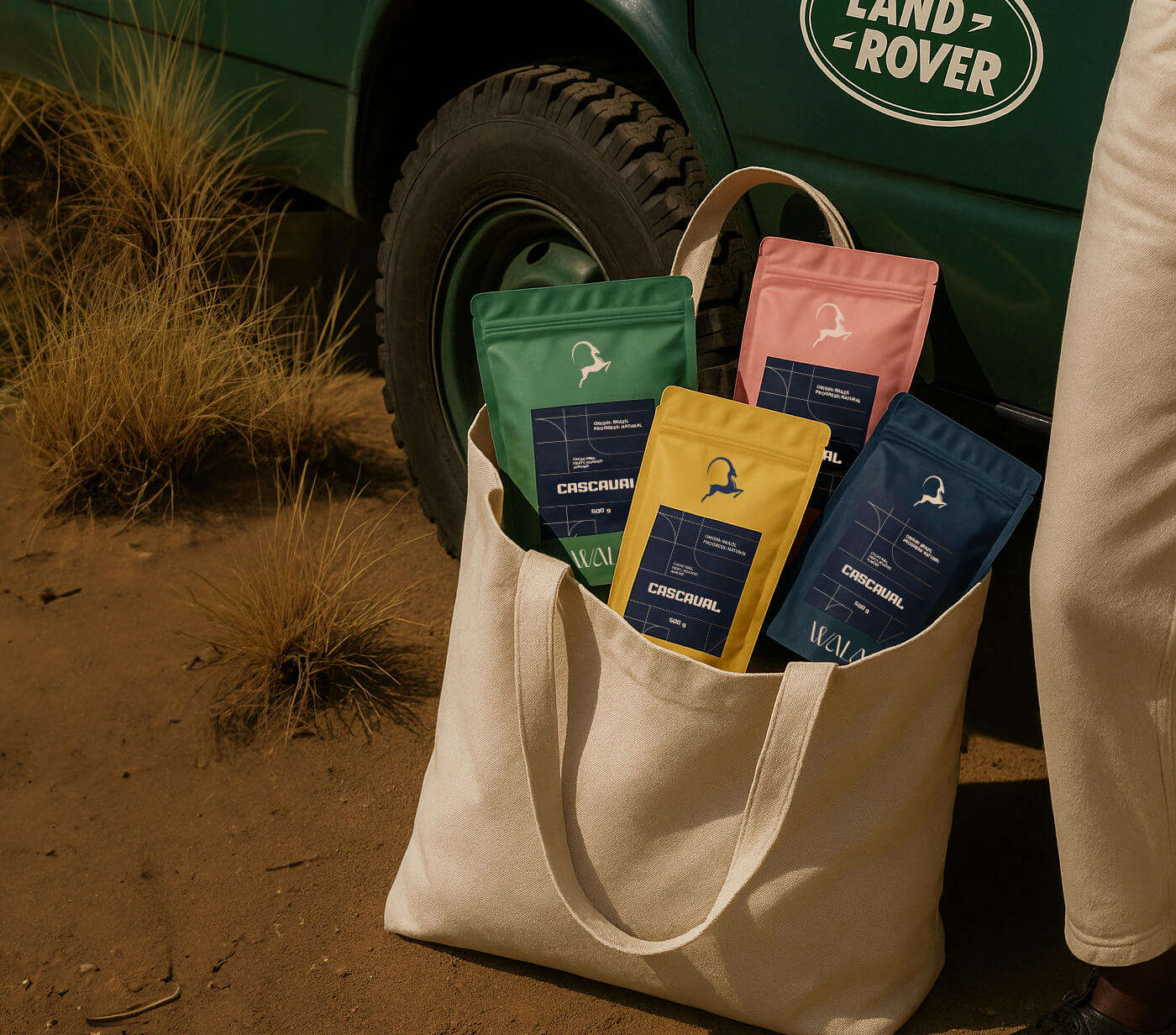 1751935970284568.jpg 1751935970284568.jpg