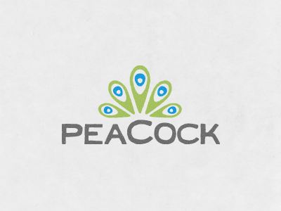 品牌策划涉及到哪些内容? QER.jpg