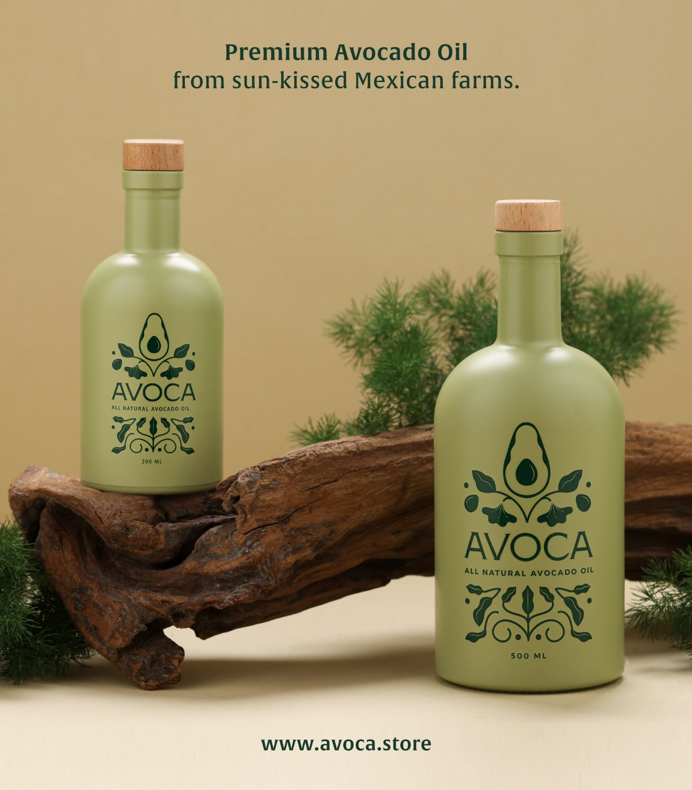 1725347004353869.jpg 1725347004353869.jpg