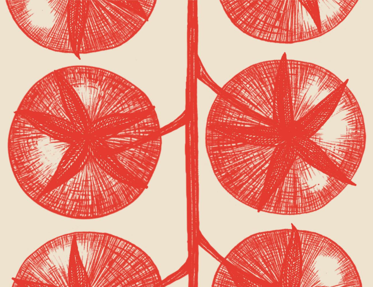 1726642210185162.jpeg 1726642210185162.jpeg