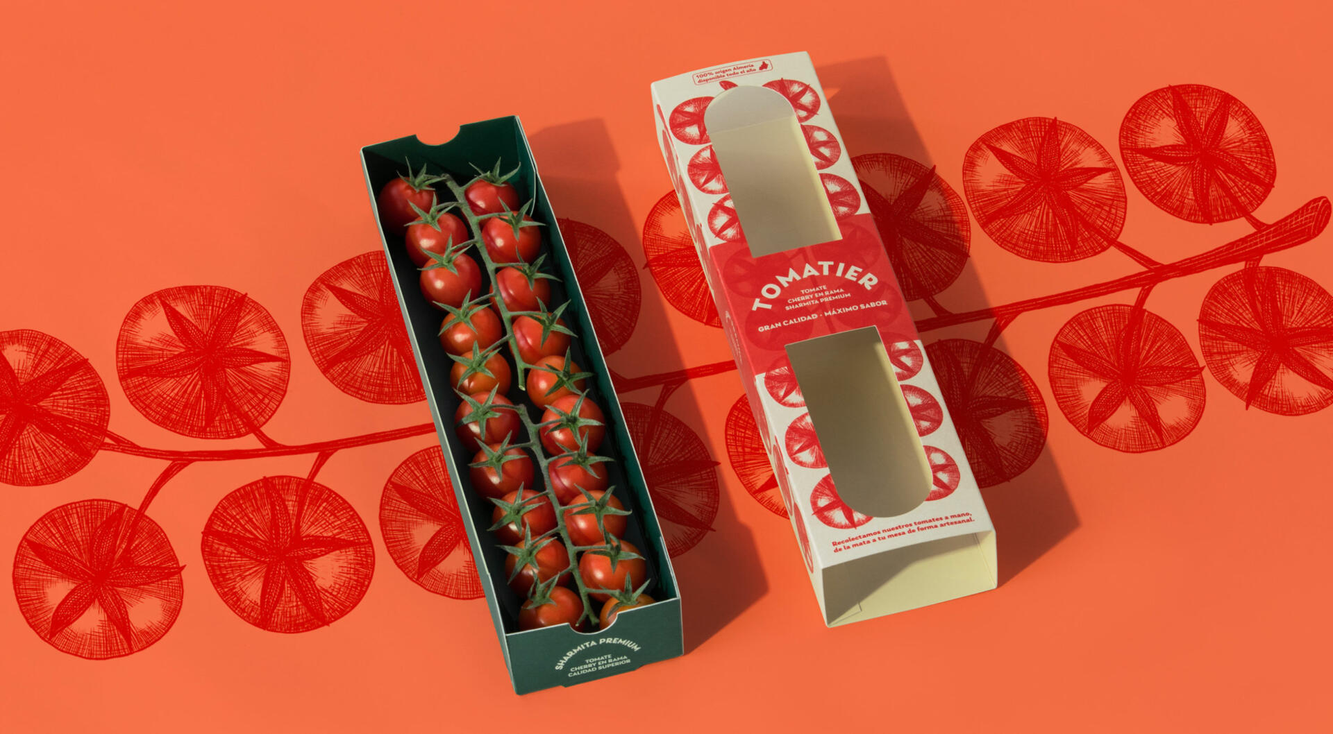 1726642210674503.jpeg 1726642210674503.jpeg