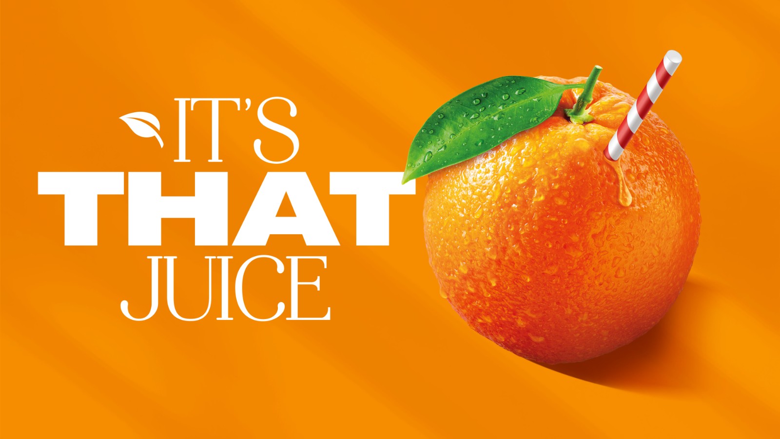 1728539446391532.jpg 1728539446391532.jpg