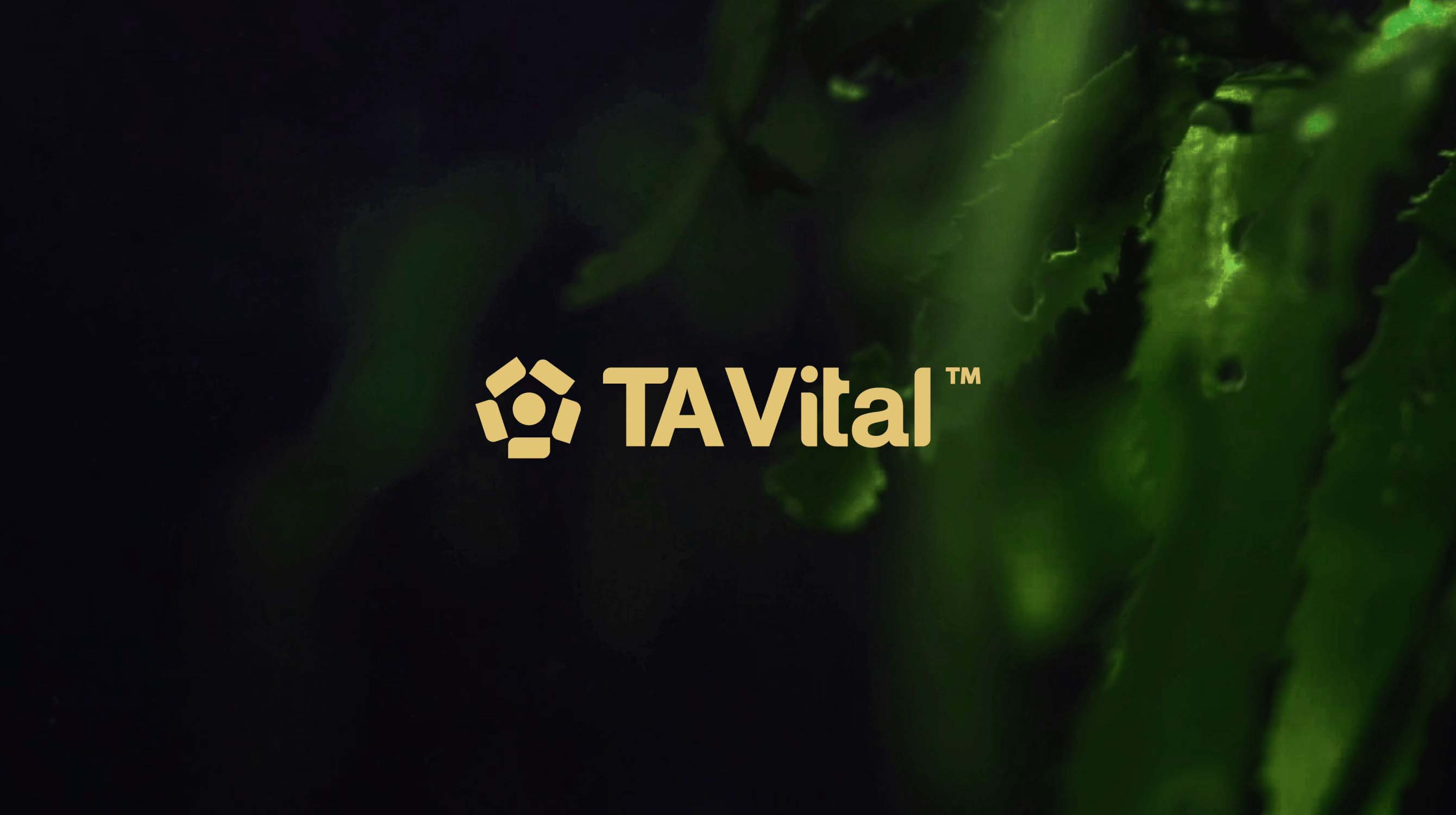 1729241588669603.jpg 1729241588669603.jpg