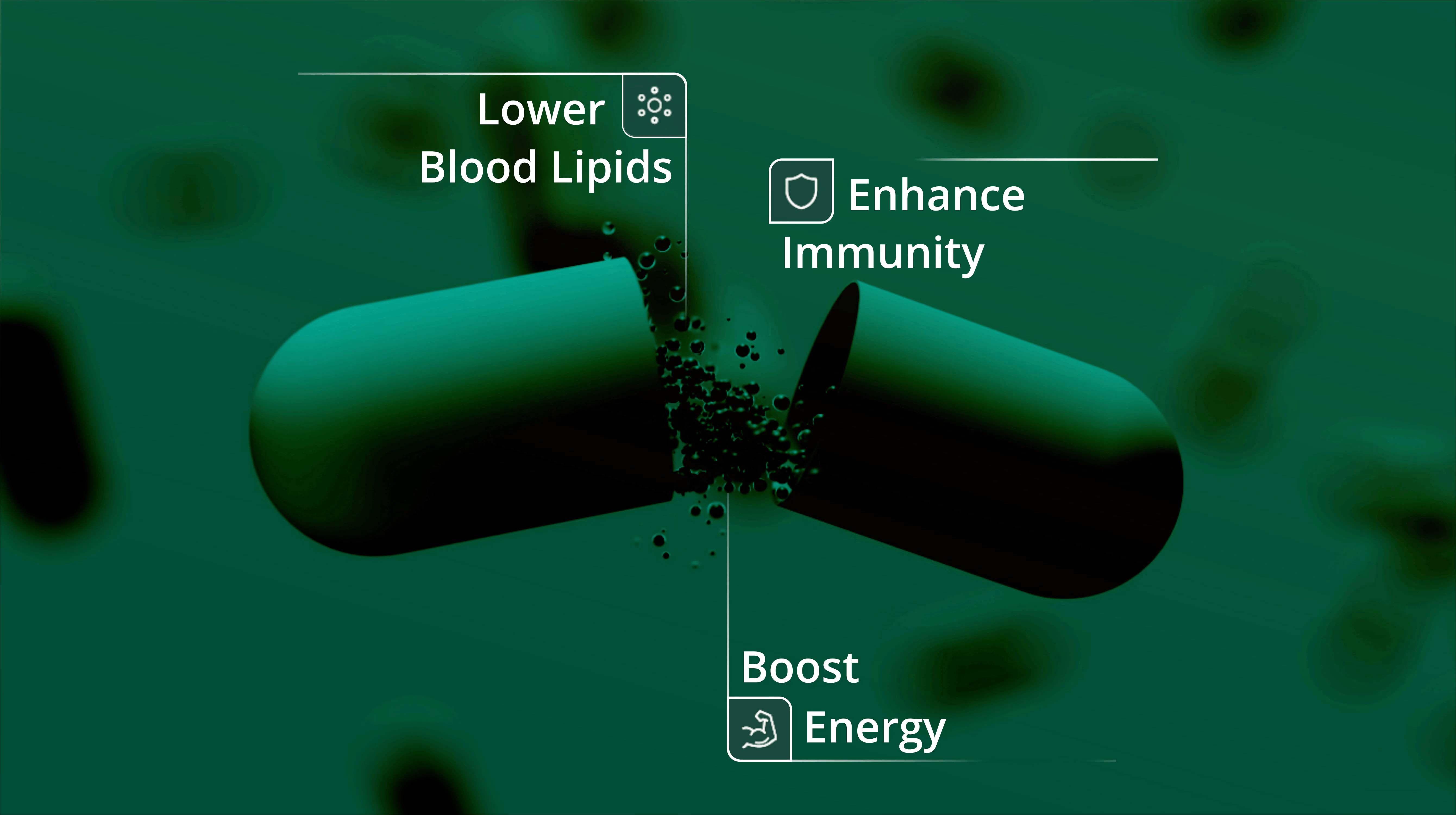 1729241589581806.jpg 1729241589581806.jpg