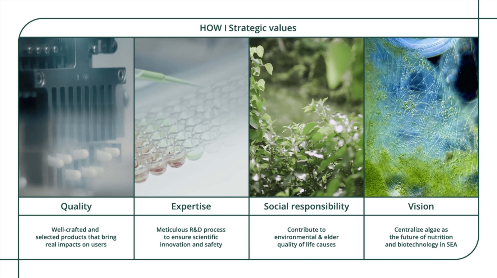 1729241589588388.jpg 1729241589588388.jpg