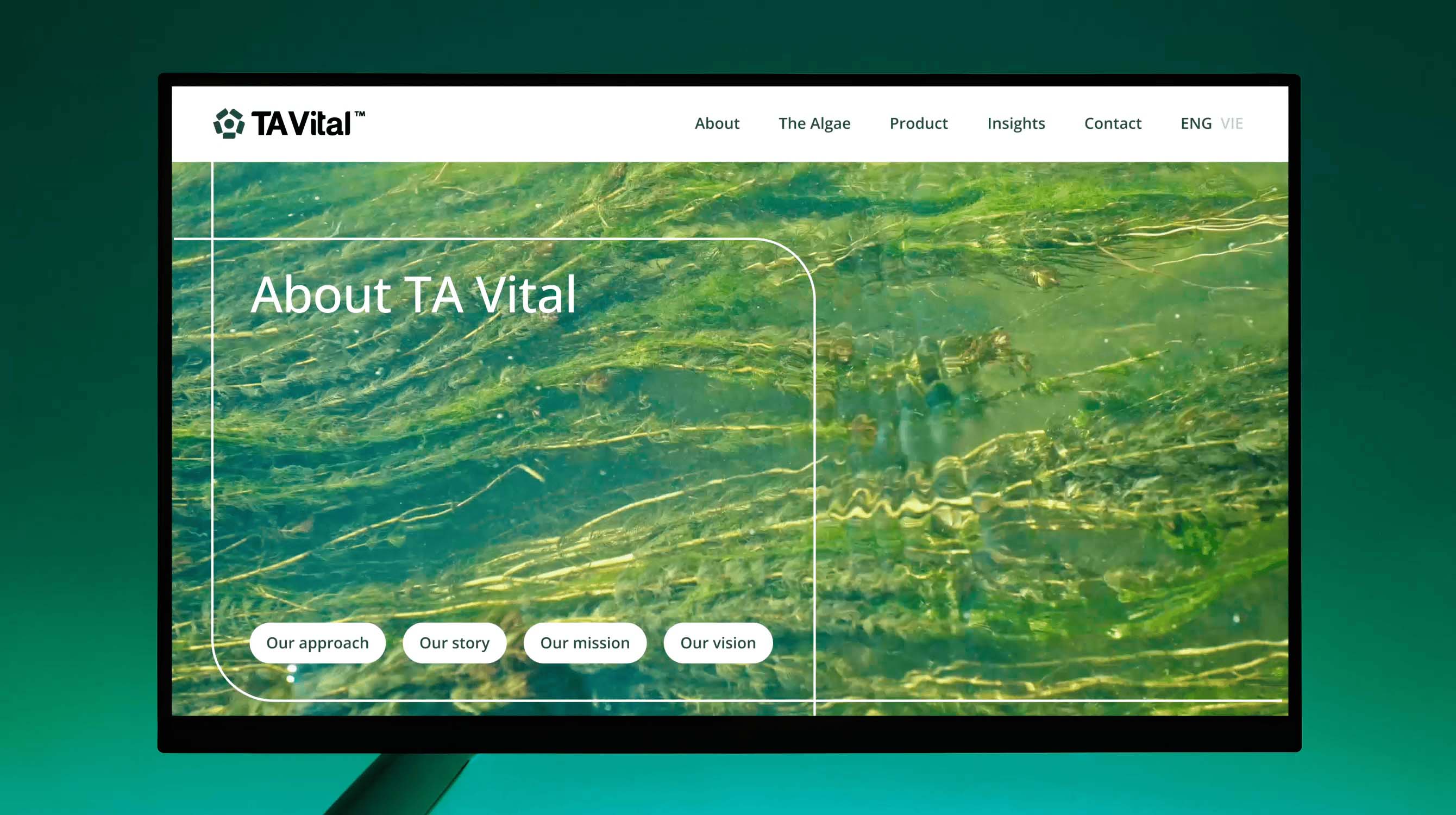 1729241589890302.jpg 1729241589890302.jpg