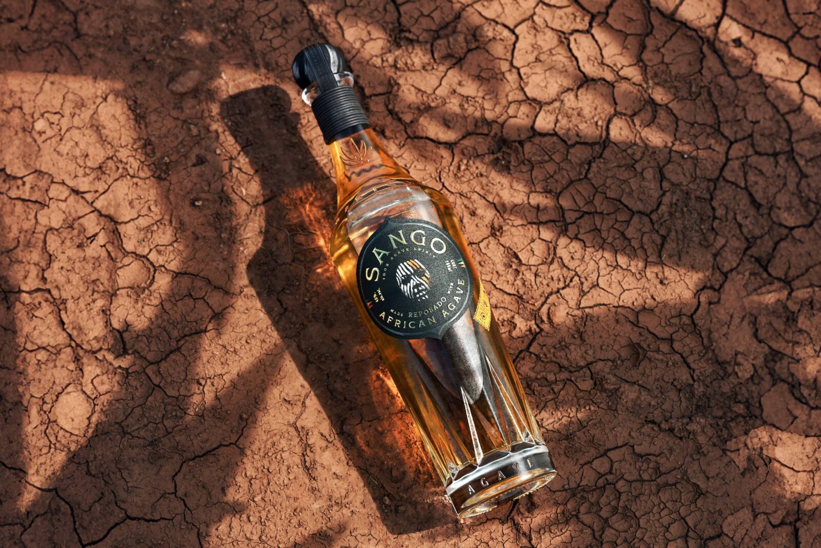 1731998412346950.jpeg 1731998412346950.jpeg