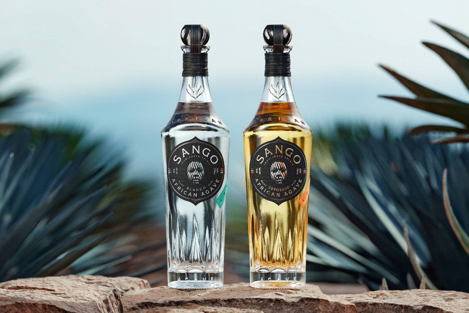 1731998412529114.jpeg 1731998412529114.jpeg