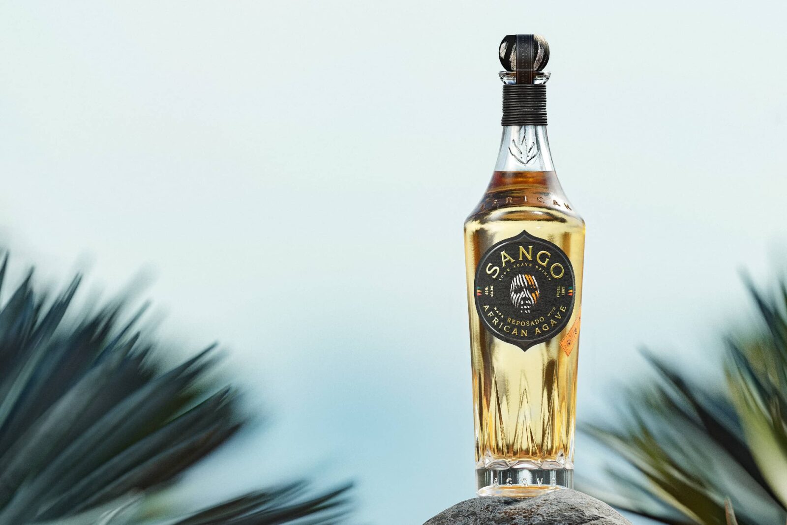 1731998412556507.jpeg 1731998412556507.jpeg