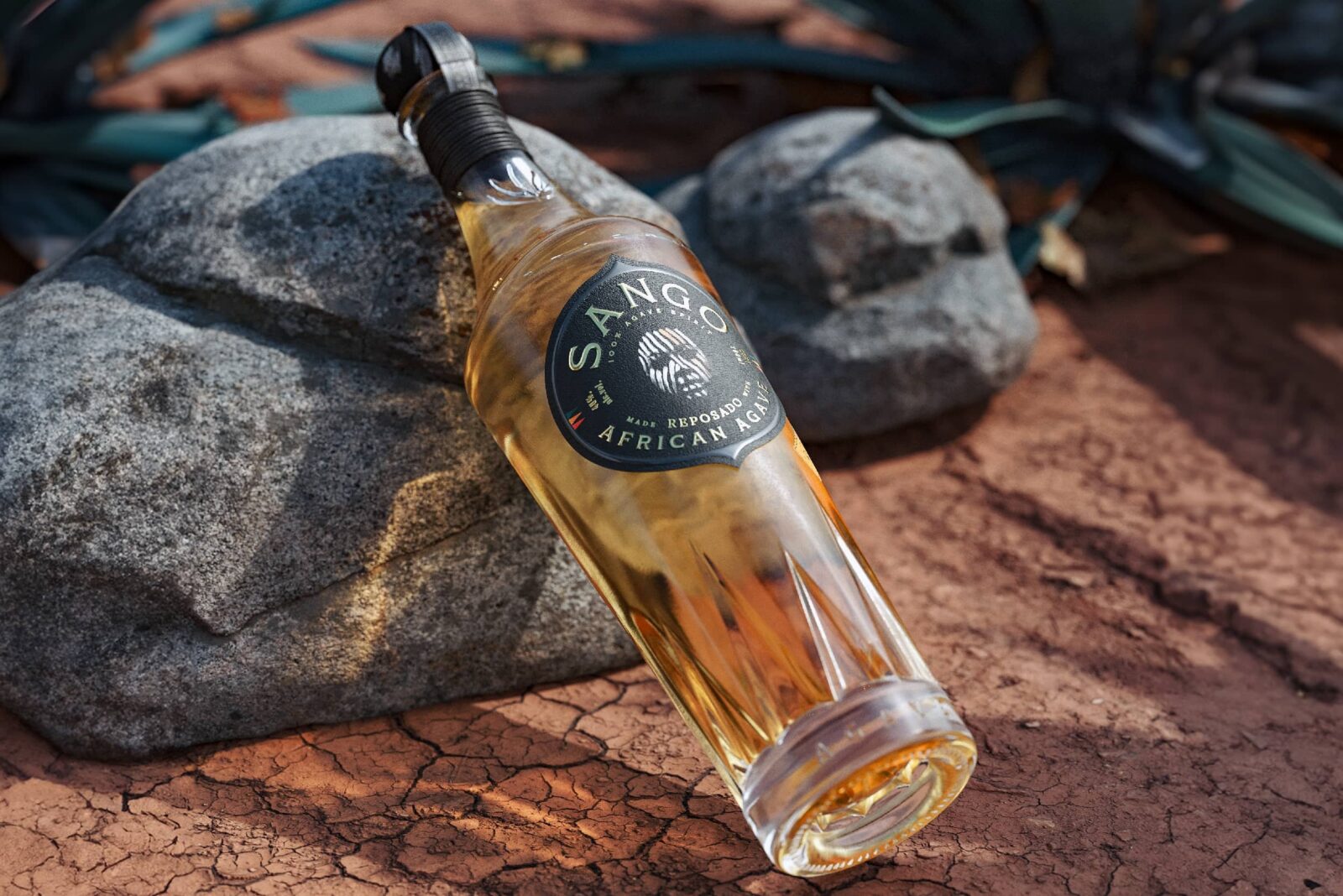 1731998412558926.jpeg 1731998412558926.jpeg