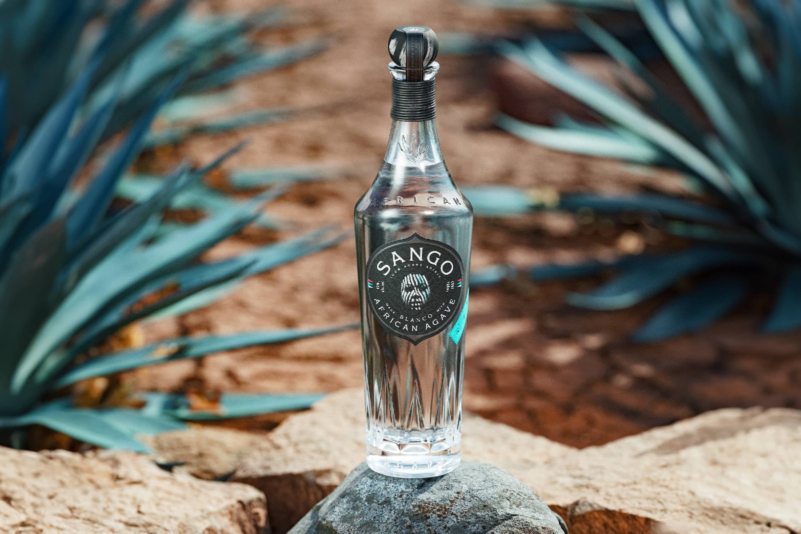 1731998412859479.jpeg 1731998412859479.jpeg