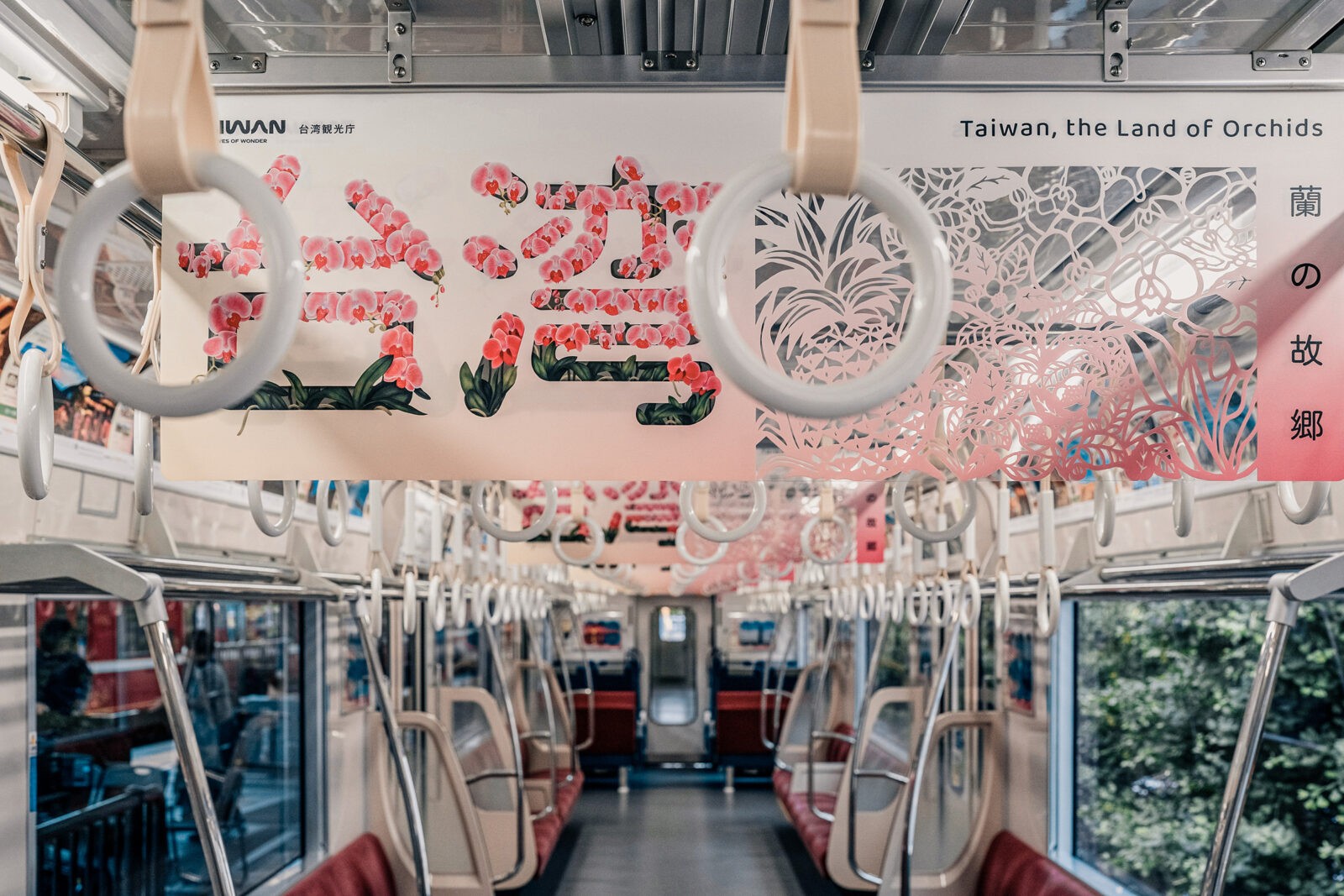 1732512991231389.jpeg 1732512991231389.jpeg