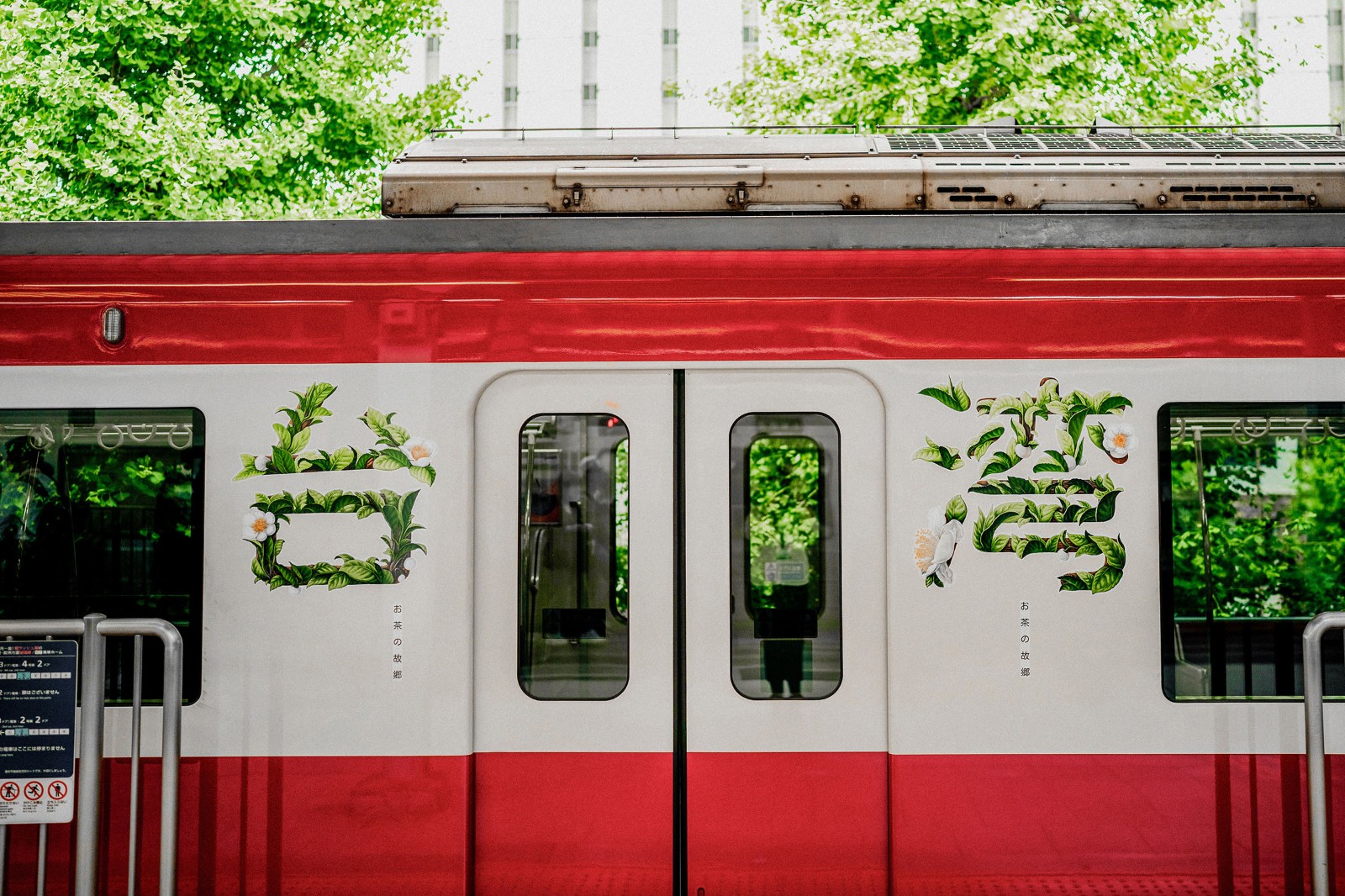 1732512991251174.jpg 1732512991251174.jpg