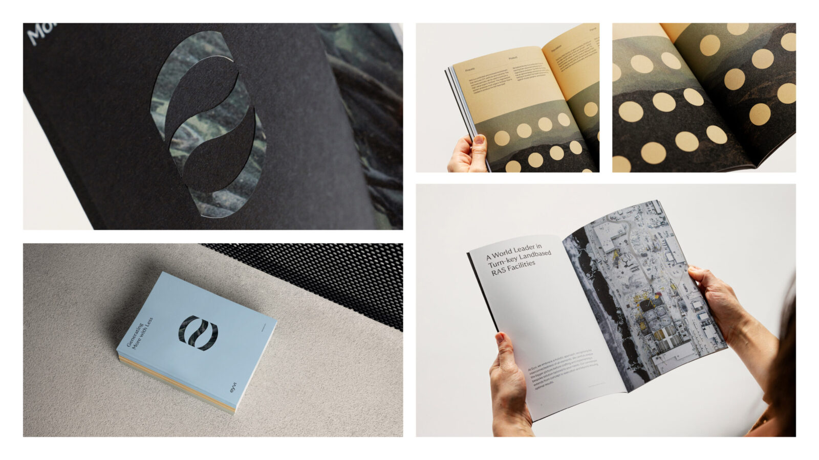 1733894141694420.jpg 1733894141694420.jpg