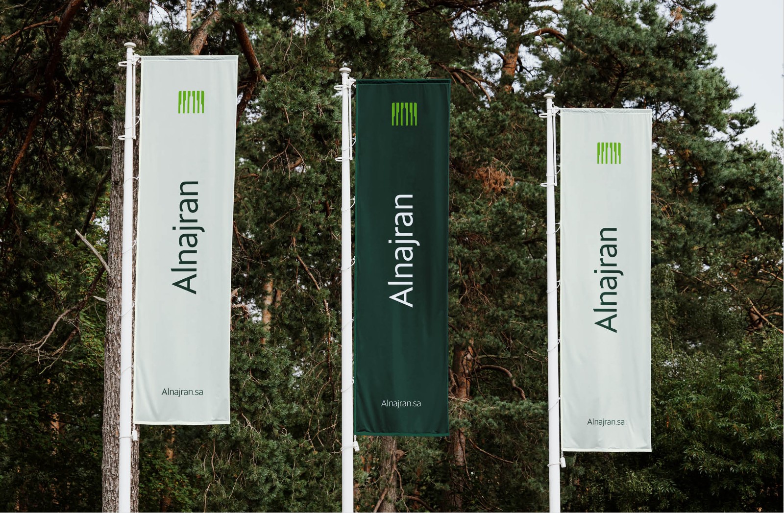 1736386390728343.jpg 1736386390728343.jpg