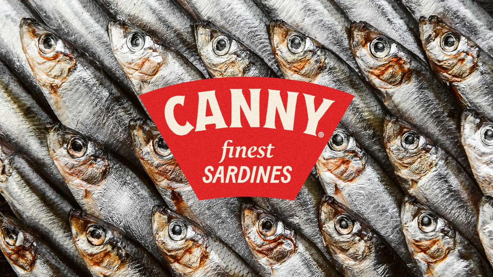 1736991682544239.jpg 1736991682544239.jpg