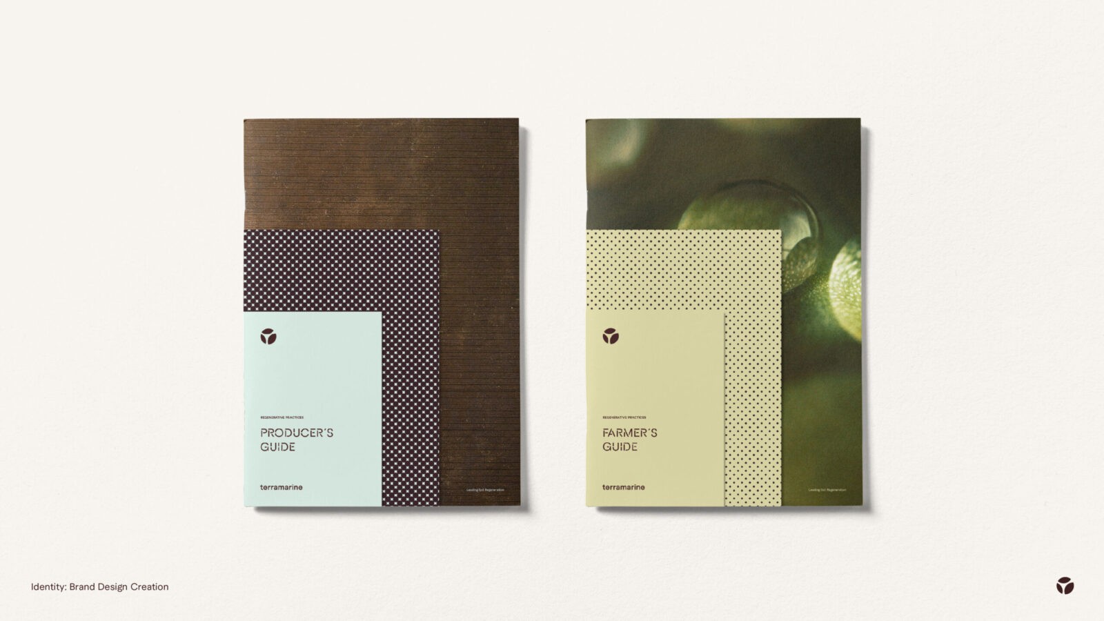 1737525051827777.jpg 1737525051827777.jpg