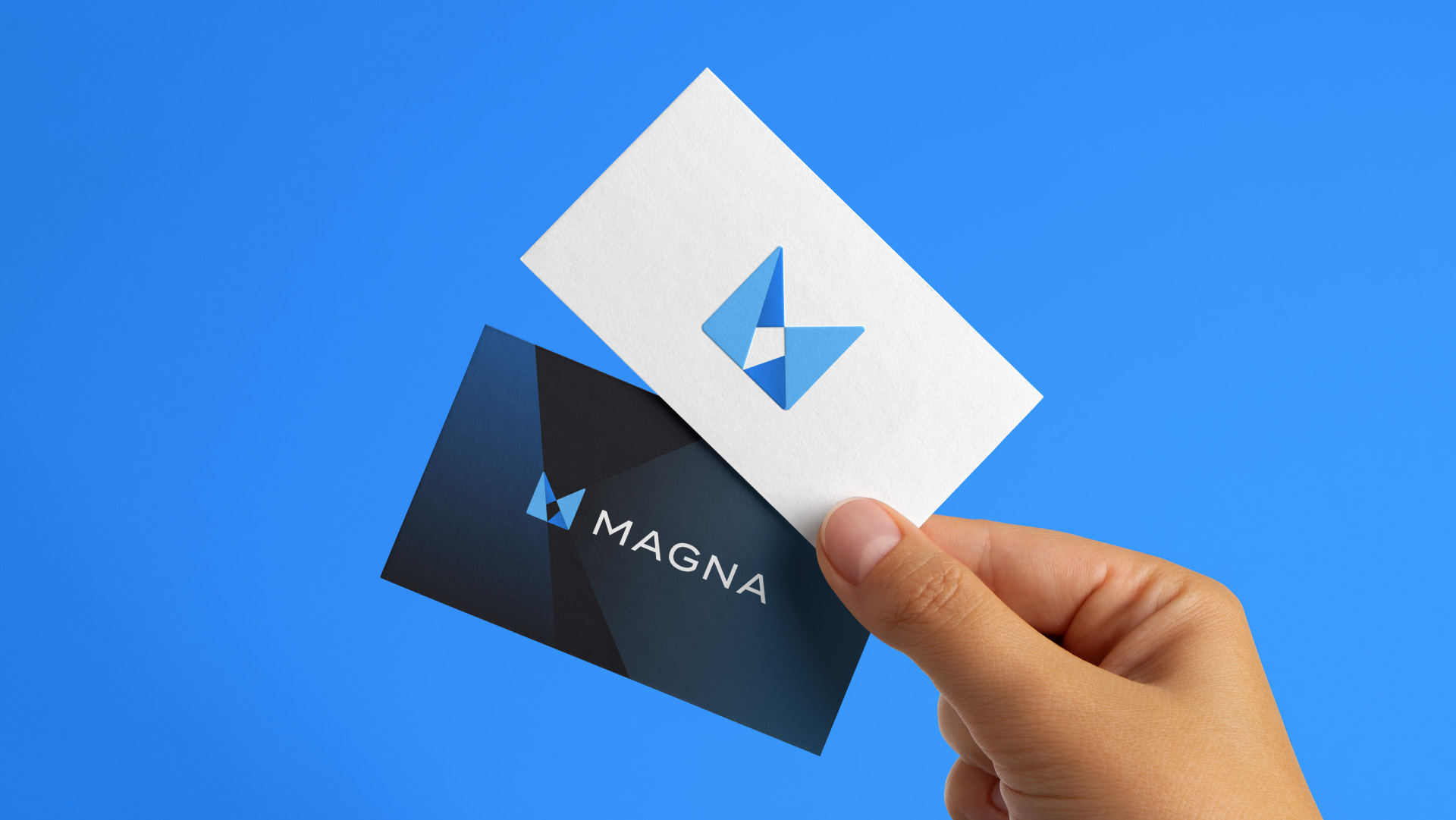 1740534841736541.jpg 1740534841736541.jpg