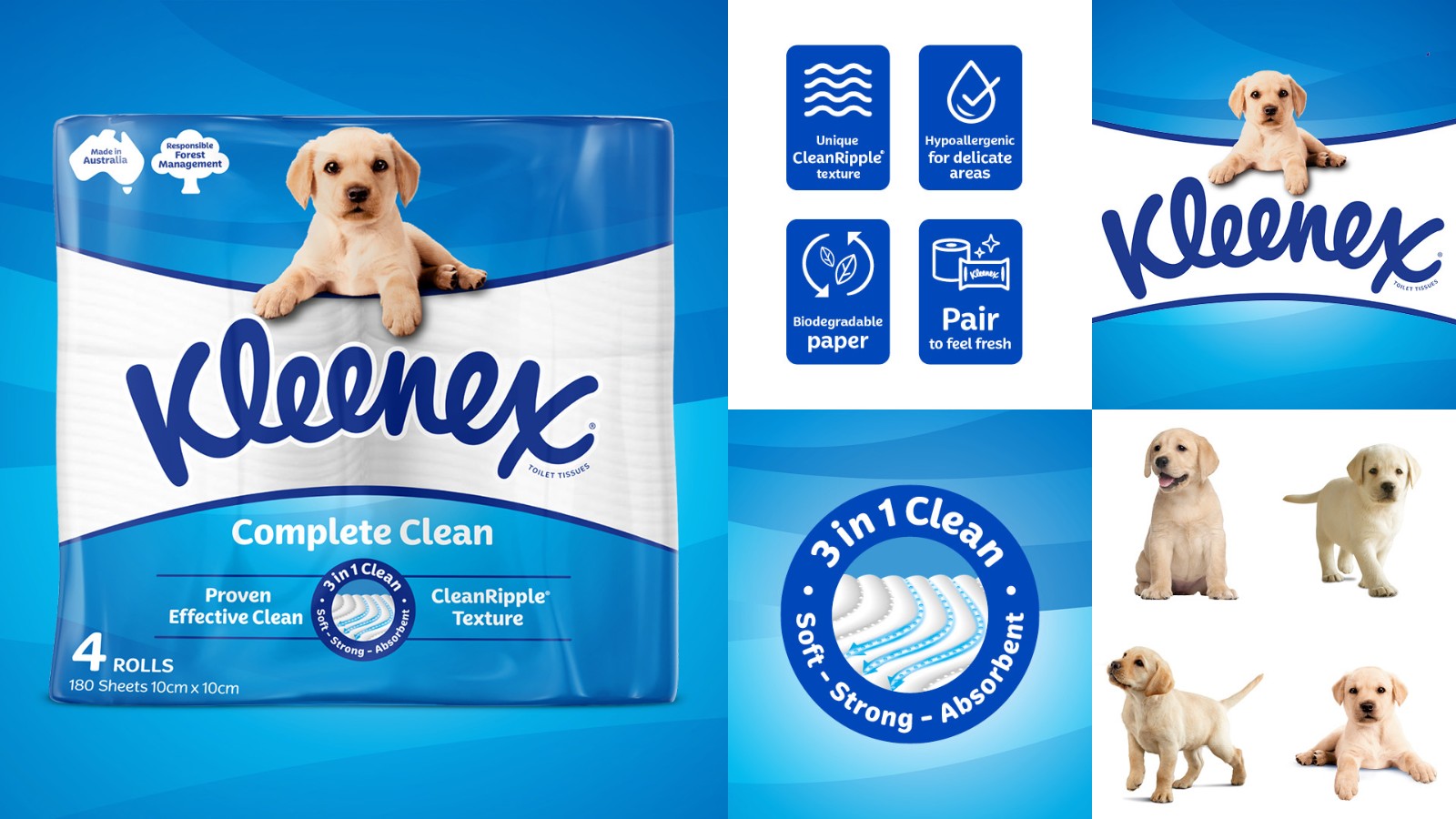 1741237310195523.jpg 1741237310195523.jpg