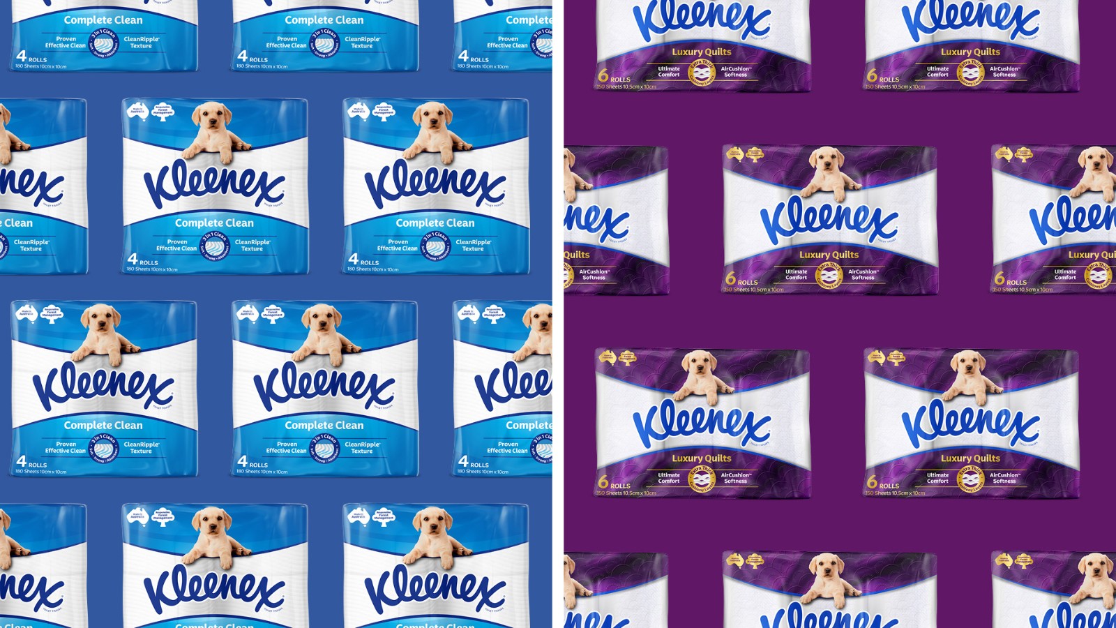 1741237310545597.jpg 1741237310545597.jpg