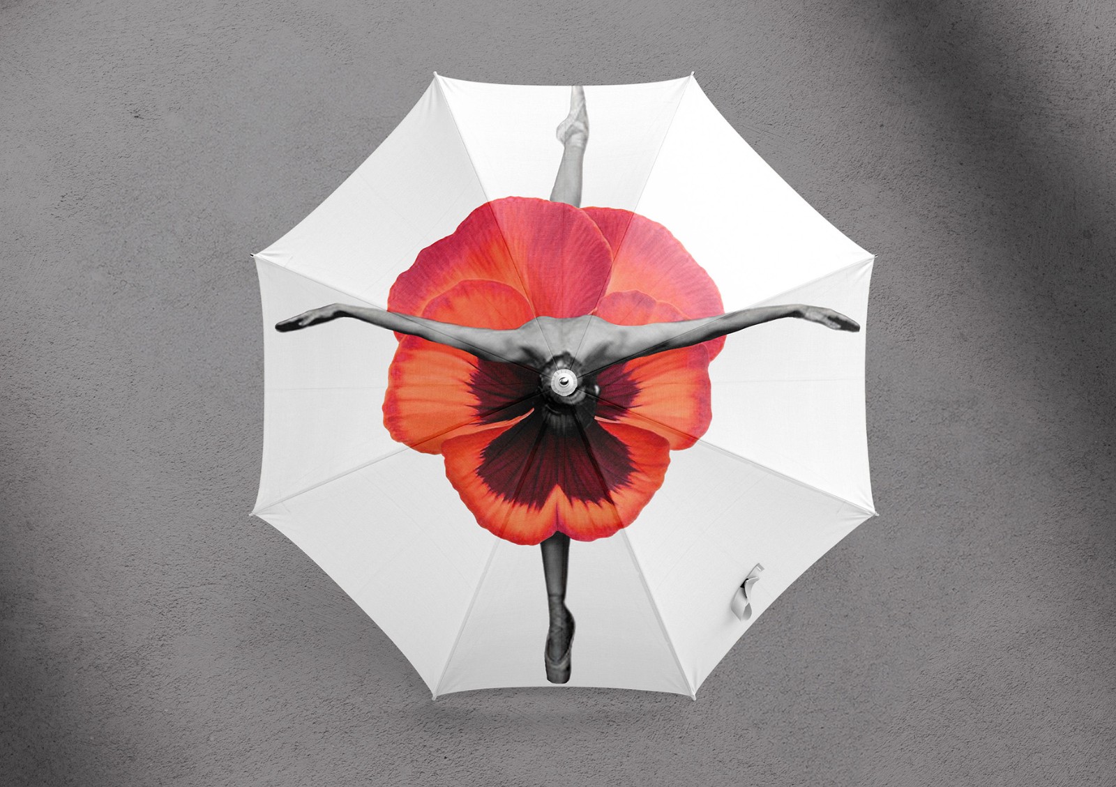 1741313846804225.jpg 1741313846804225.jpg