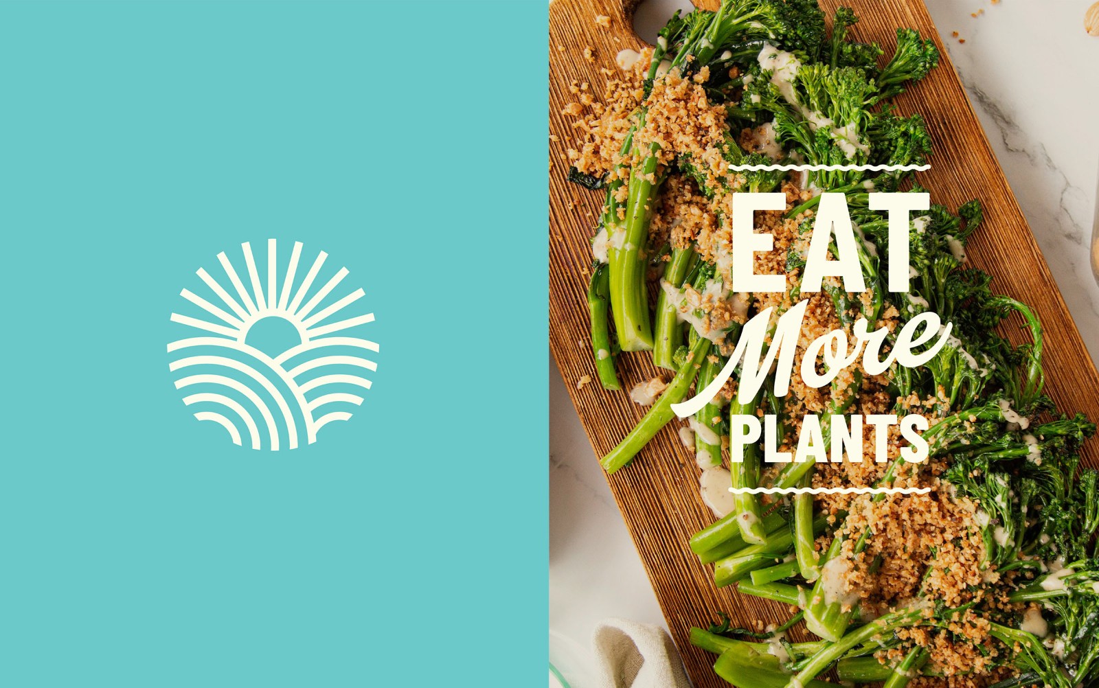 1742261680478248.jpg 1742261680478248.jpg