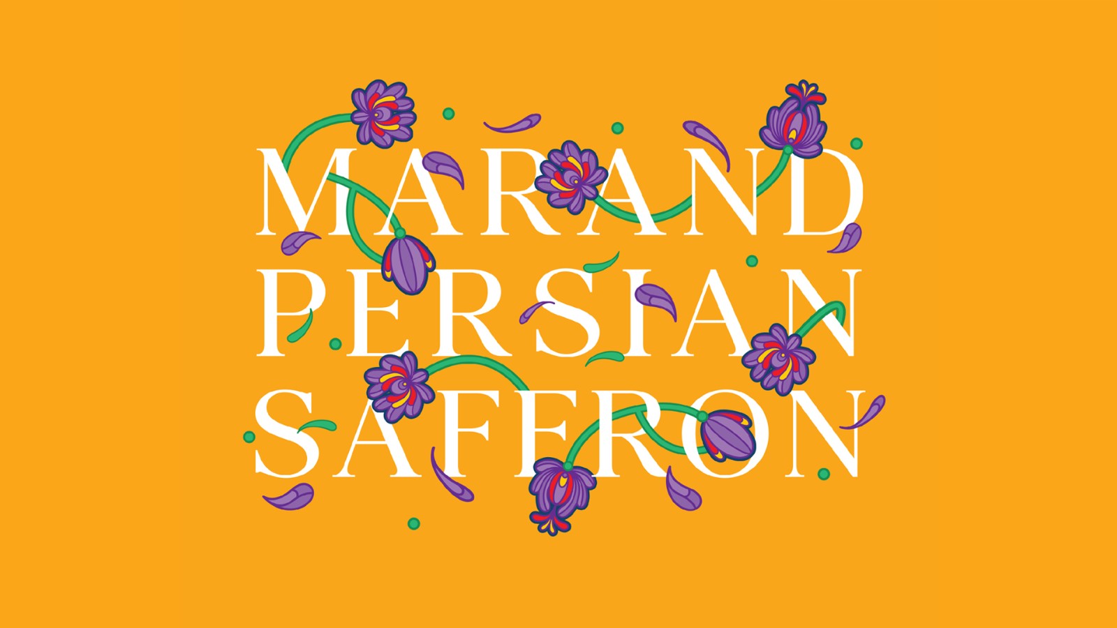 1743137492555158.jpg 1743137492555158.jpg