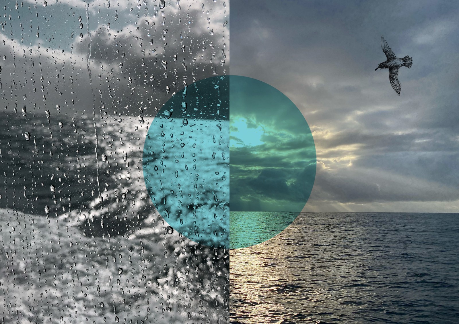 1753923353710034.jpg 1753923353710034.jpg