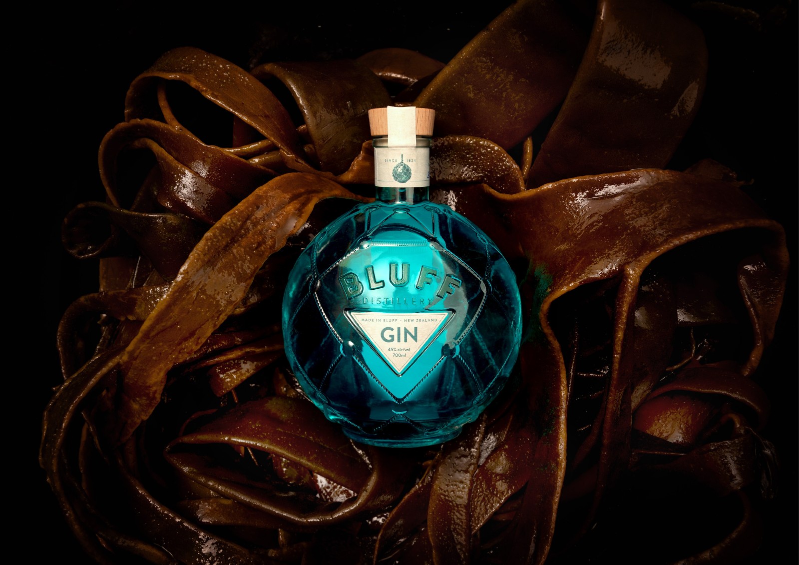 1753923353836593.jpg 1753923353836593.jpg