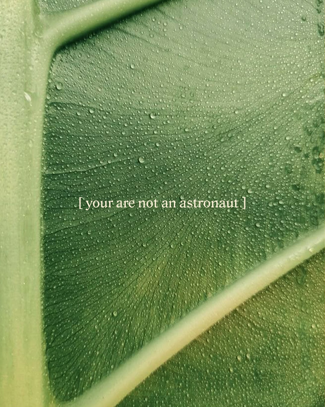 1756342584889062.jpg 1756342584889062.jpg