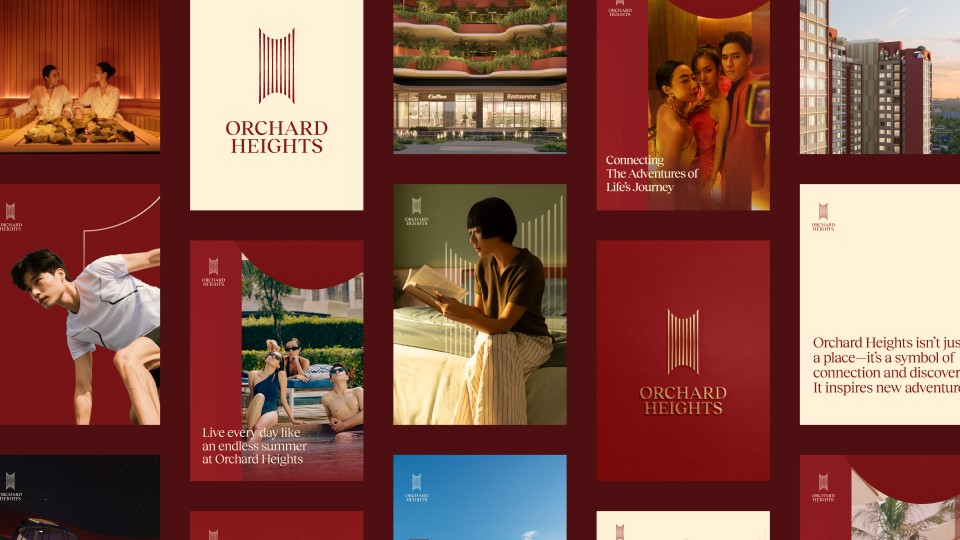 1758620174733667.jpg 1758620174733667.jpg