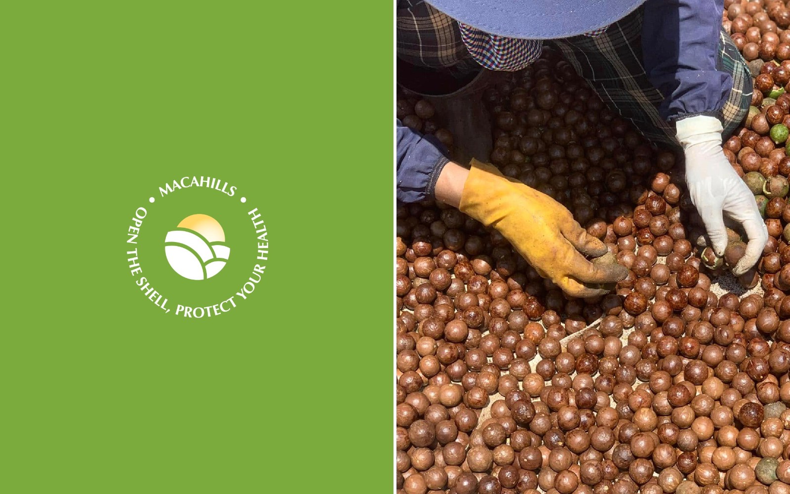 1758676014650703.jpg 1758676014650703.jpg