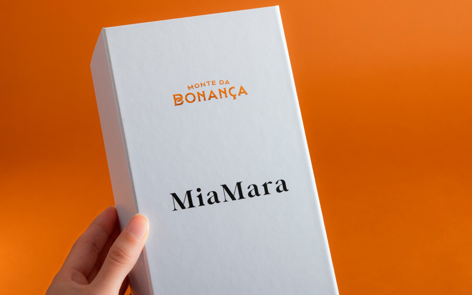 1761039932576806.jpg 1761039932576806.jpg