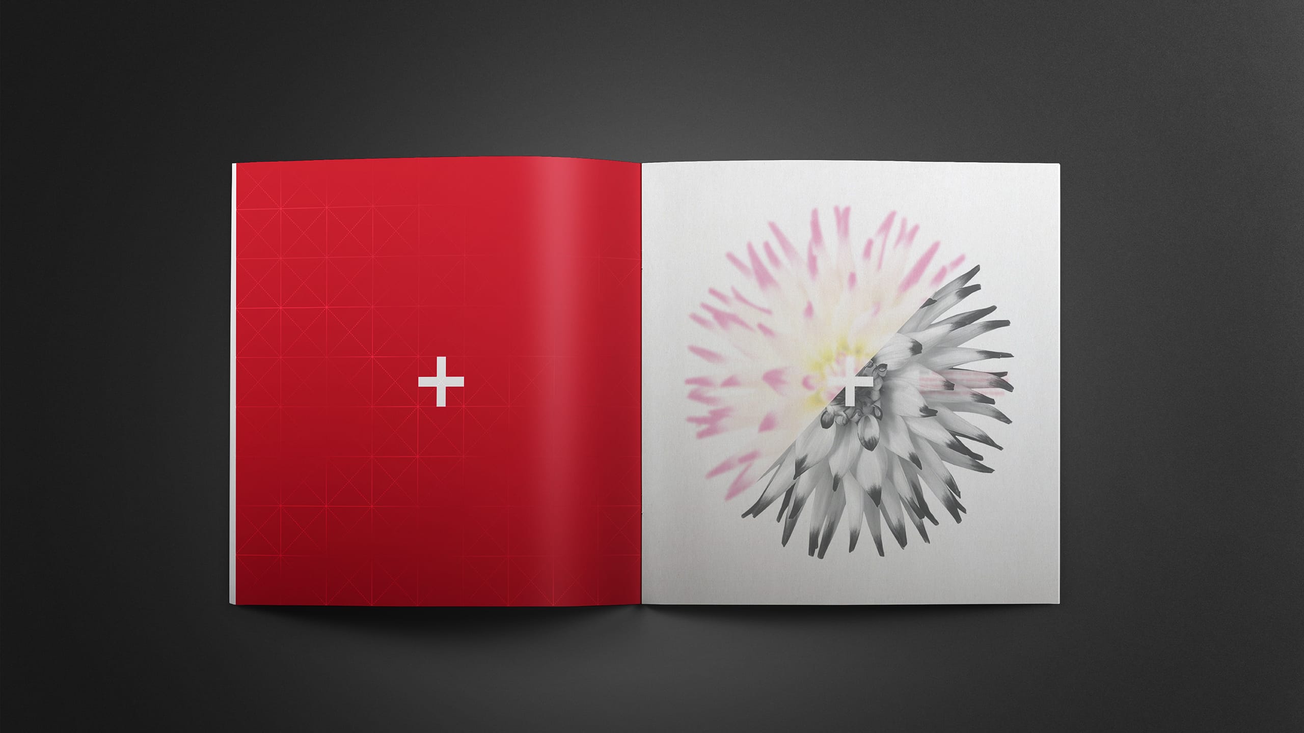 1761701022207410.jpg 1761701022207410.jpg