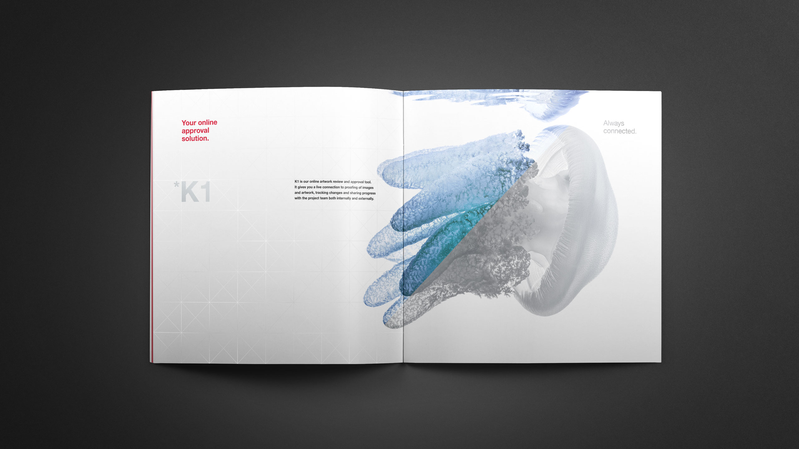 1761701022354332.jpg 1761701022354332.jpg