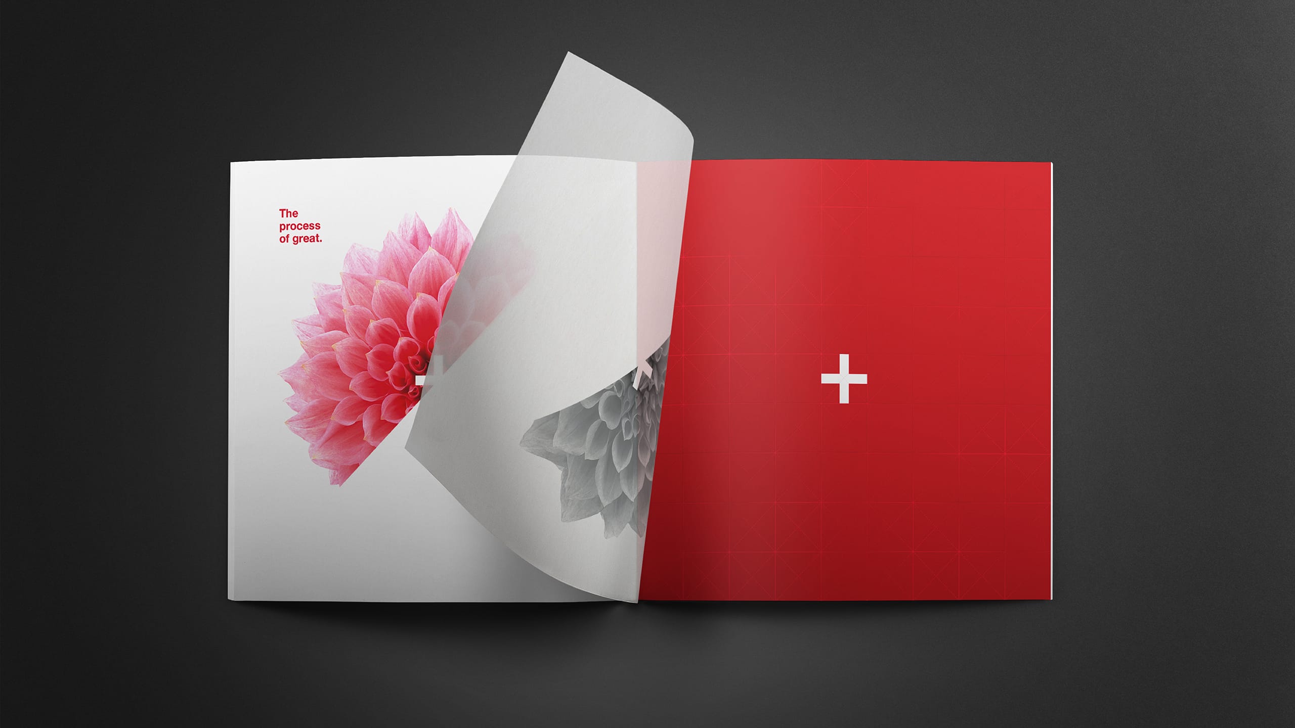 1761701022674757.jpg 1761701022674757.jpg