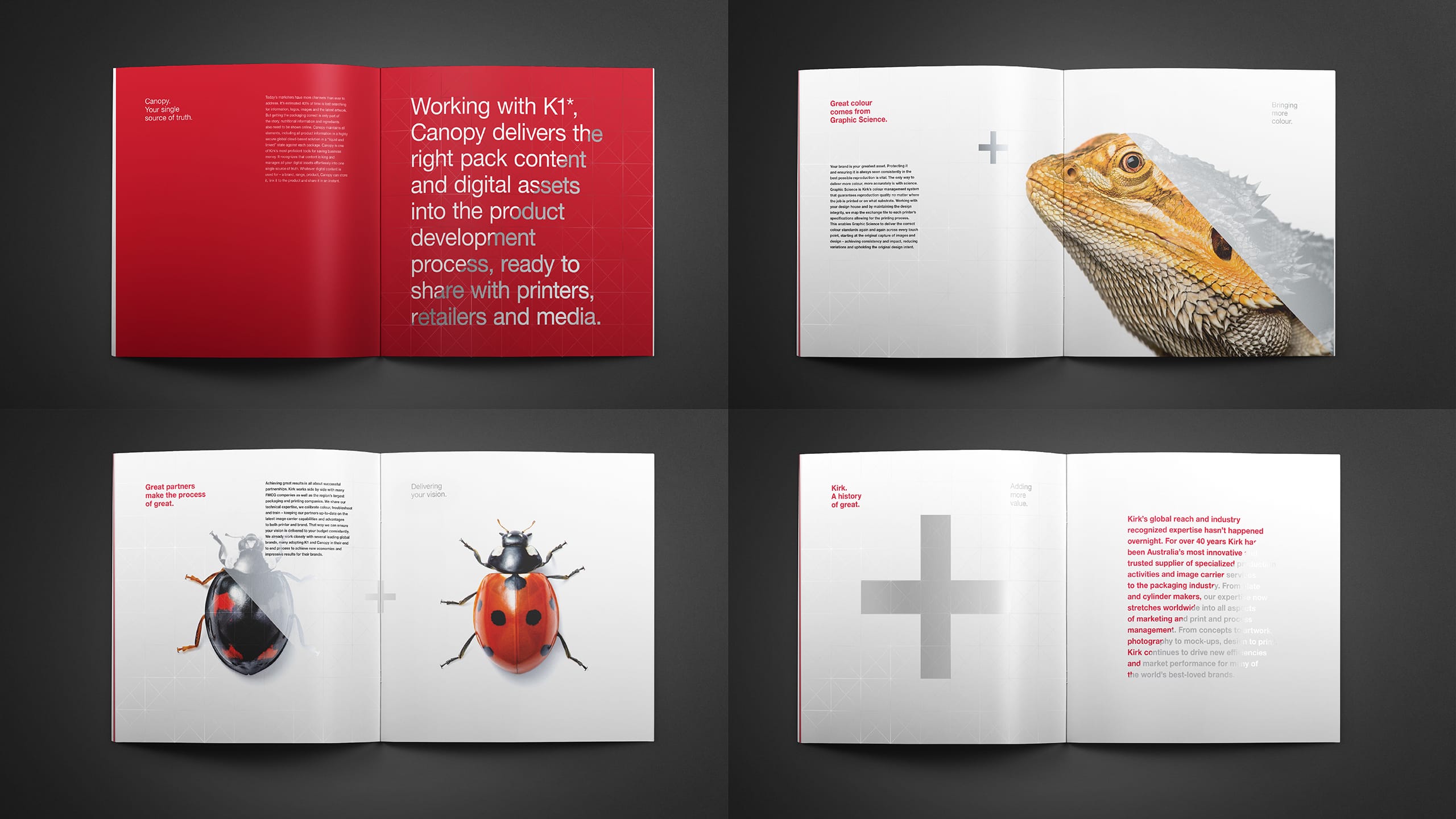 1761701022985993.jpg 1761701022985993.jpg