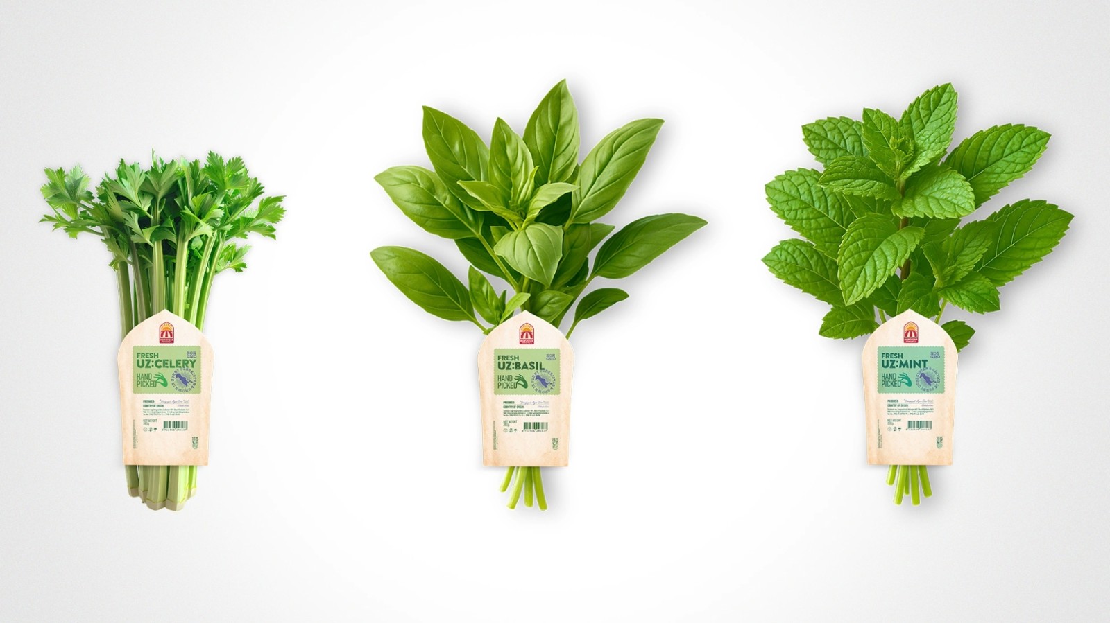 1761712393856445.jpeg 1761712393856445.jpeg