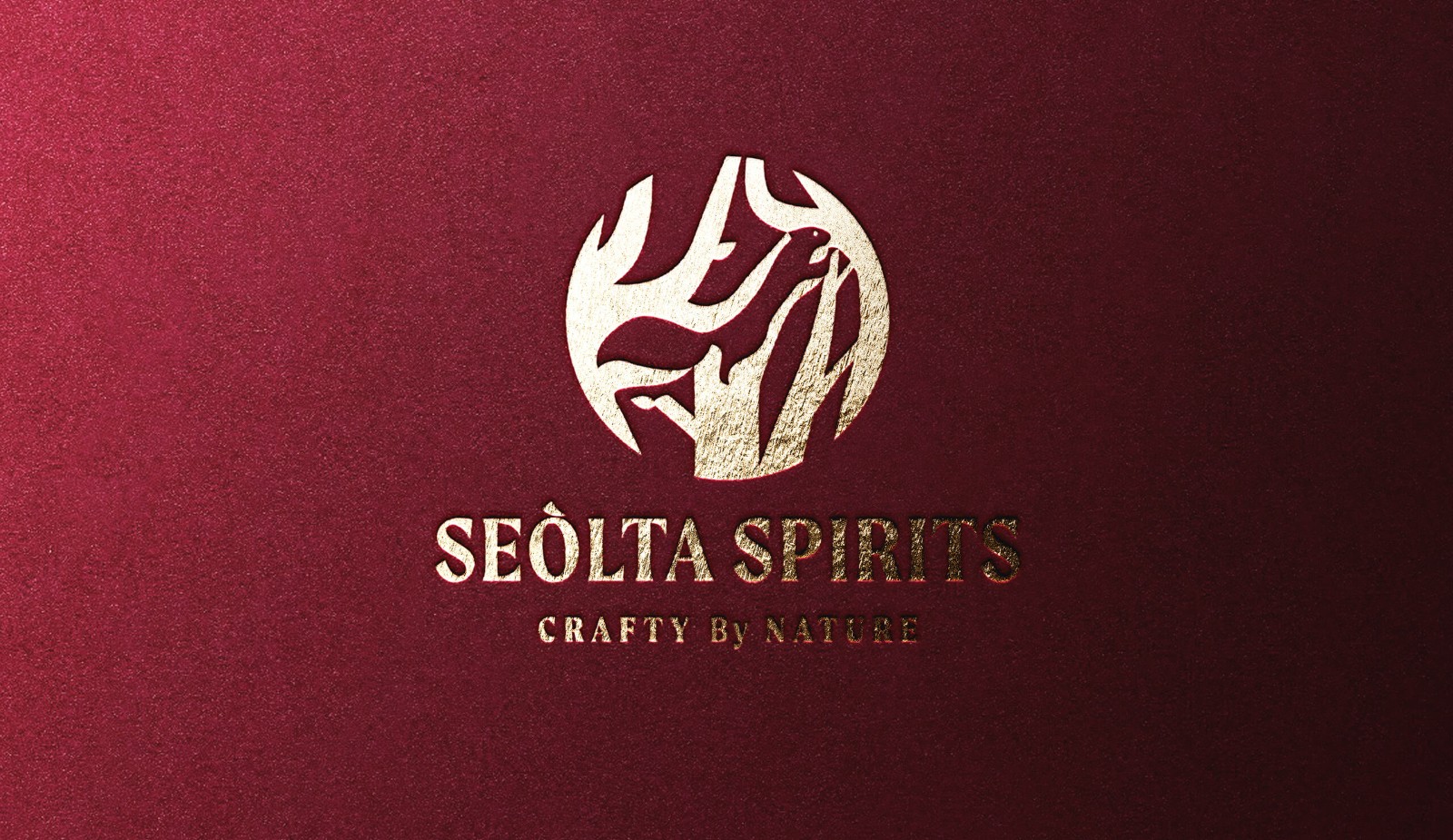 1762908997551560.jpg 1762908997551560.jpg