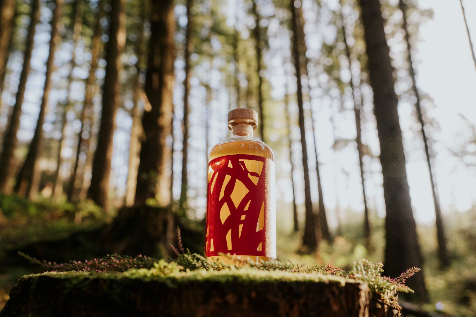 1762908997785642.jpg 1762908997785642.jpg