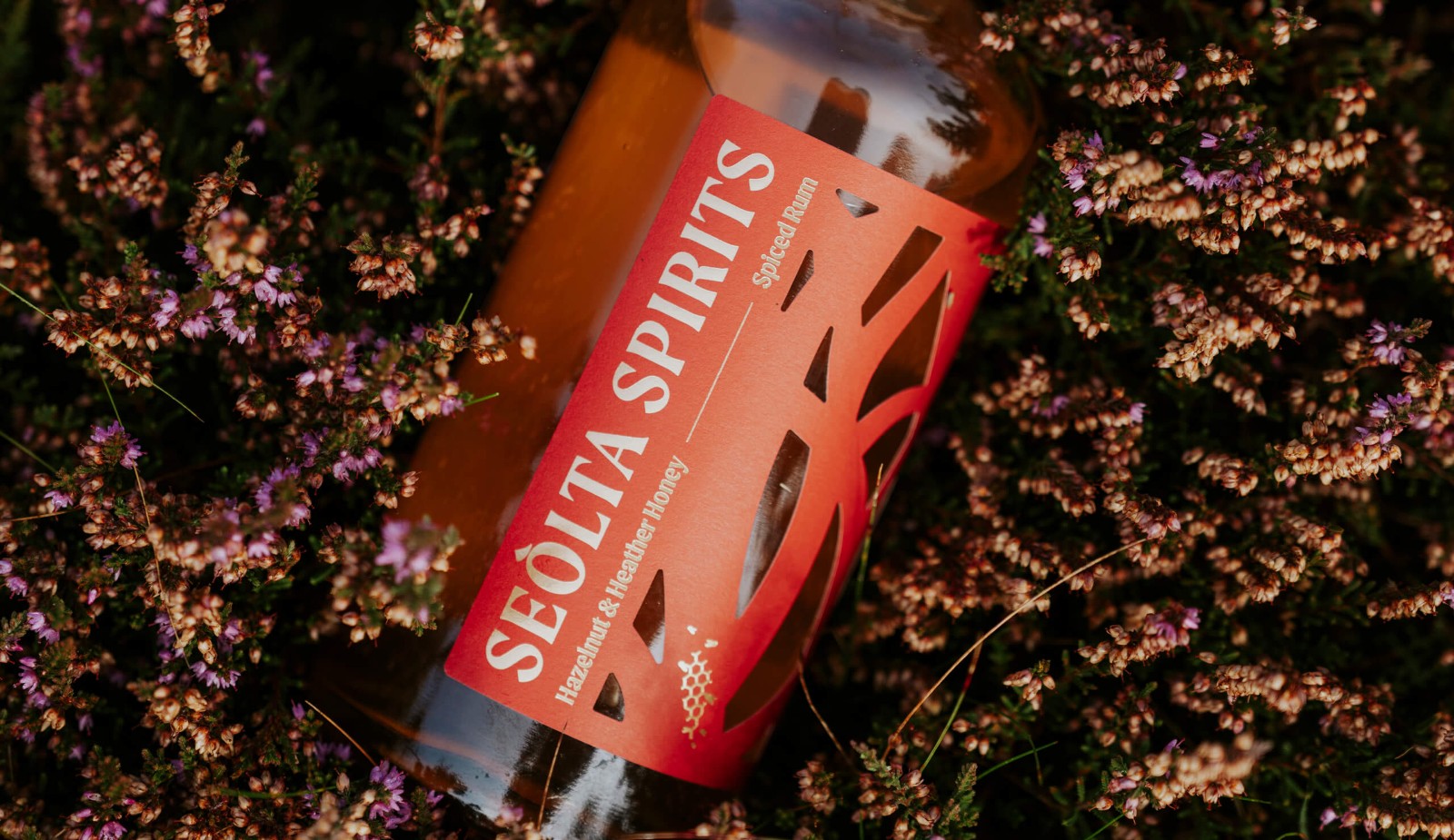 1762908997884452.jpg 1762908997884452.jpg