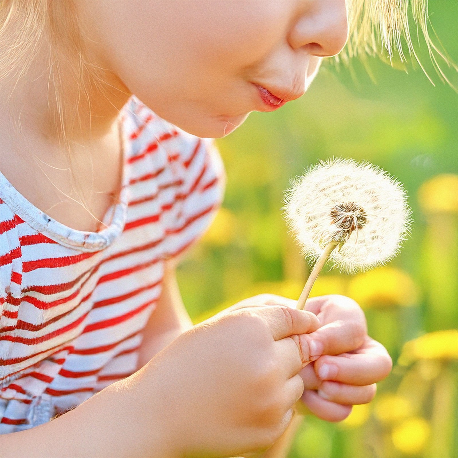 1762940250276972.jpg 1762940250276972.jpg