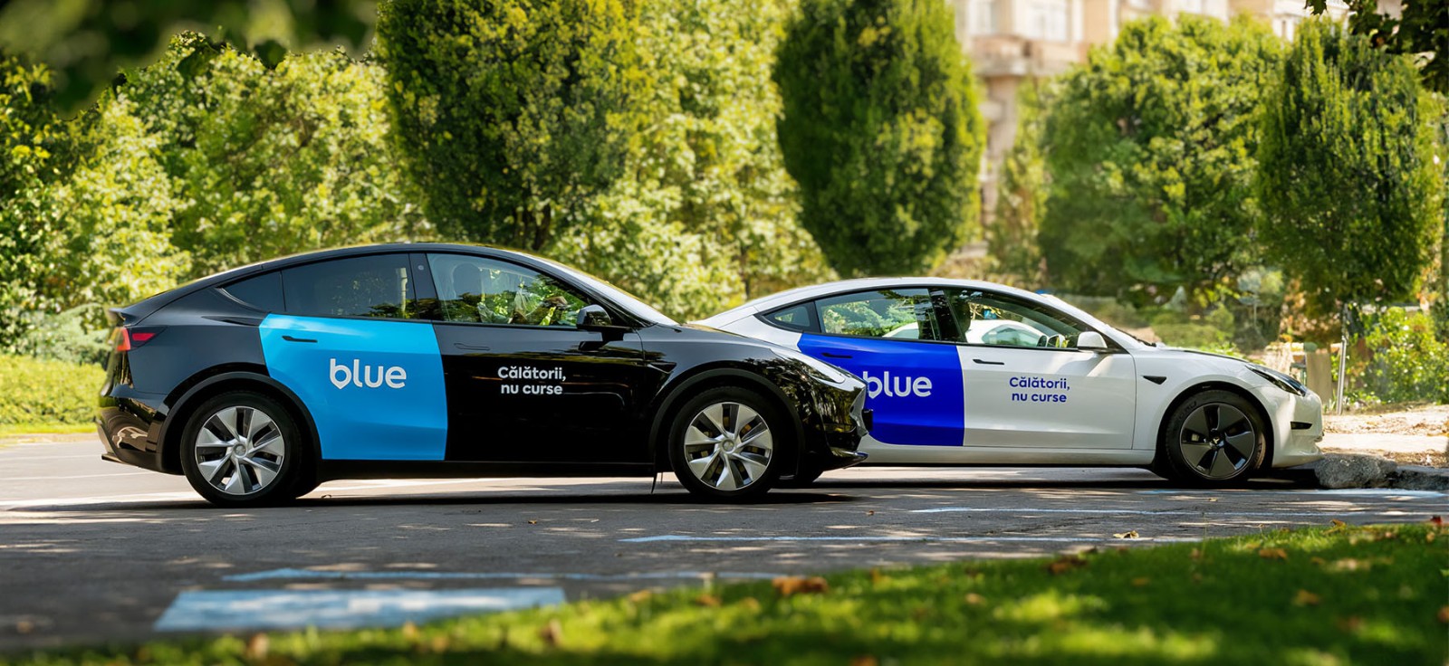 1763526353689230.jpg 1763526353689230.jpg