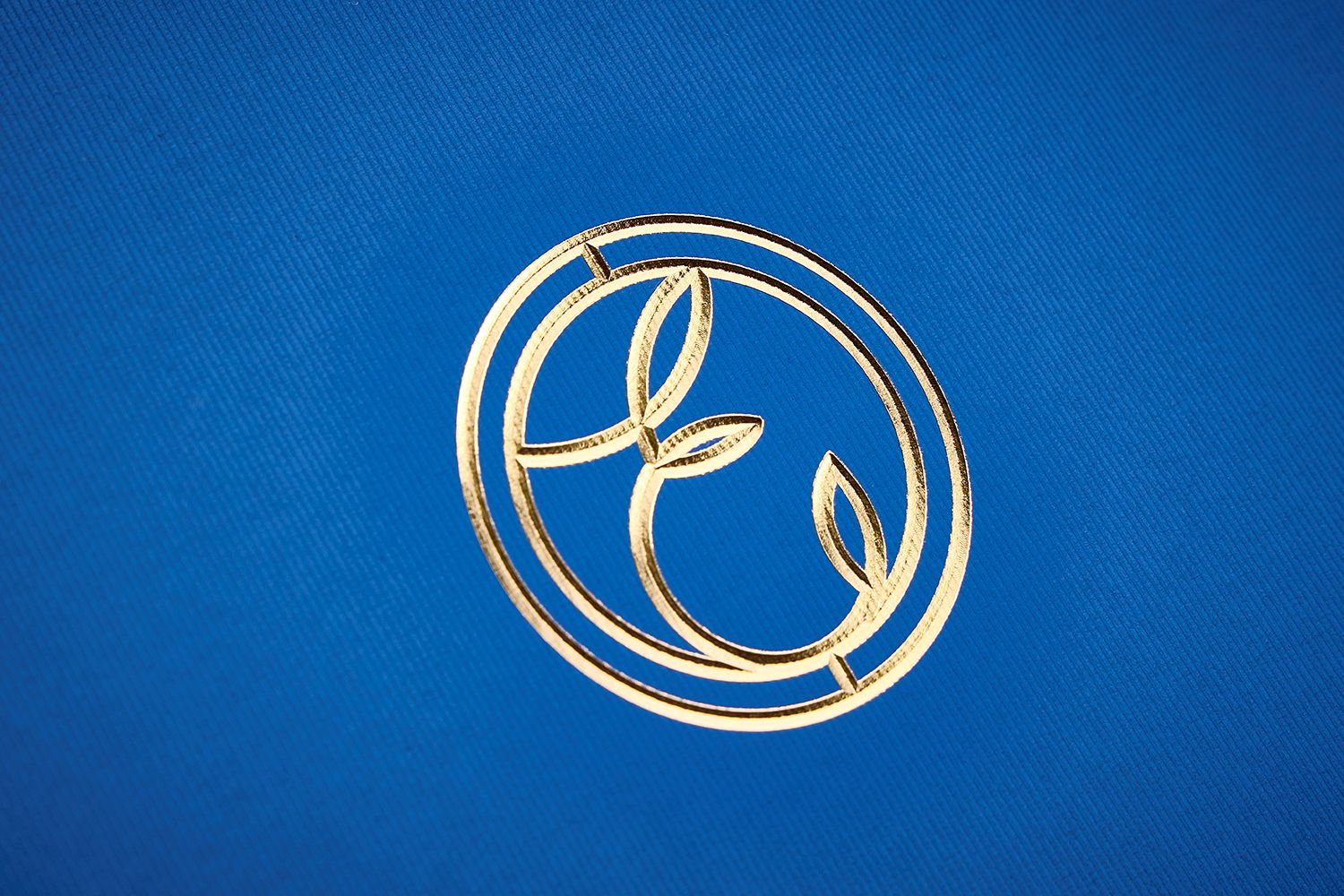 1763945922149818.jpg 1763945922149818.jpg