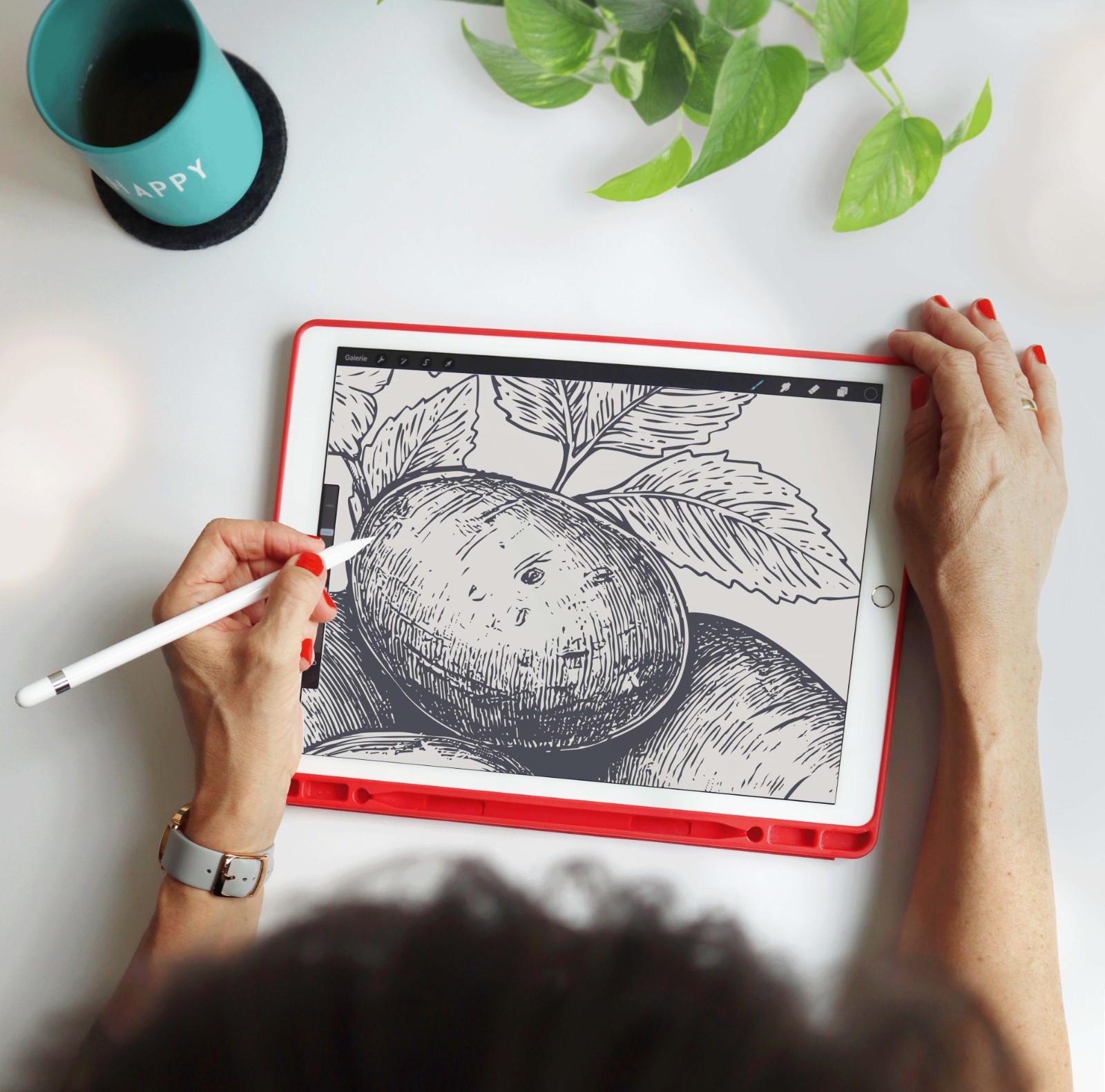 1764910966611583.jpg 1764910966611583.jpg