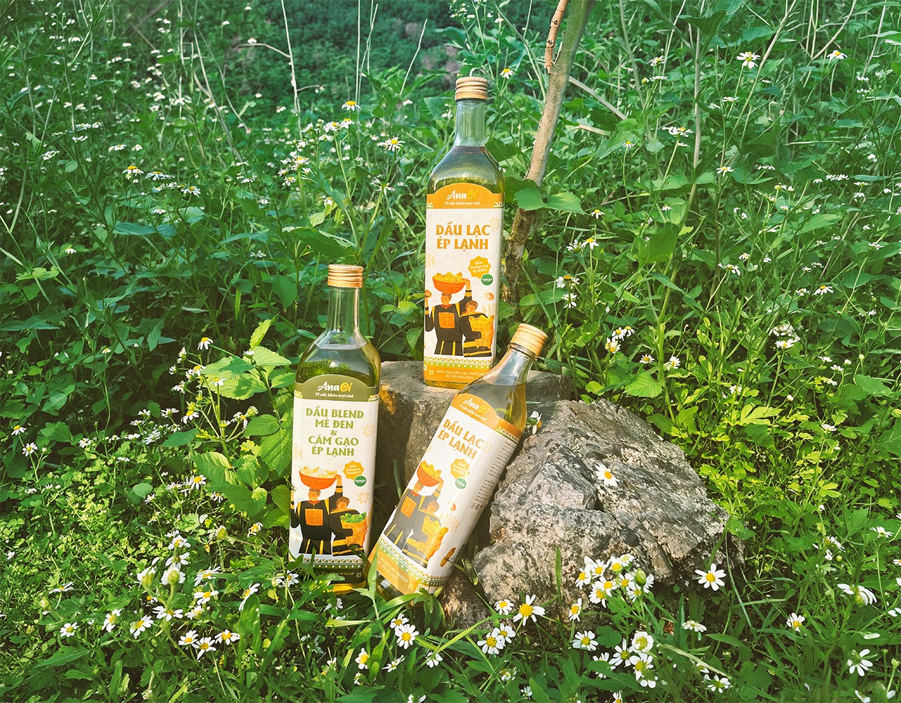 1770801304388012.jpg 1770801304388012.jpg