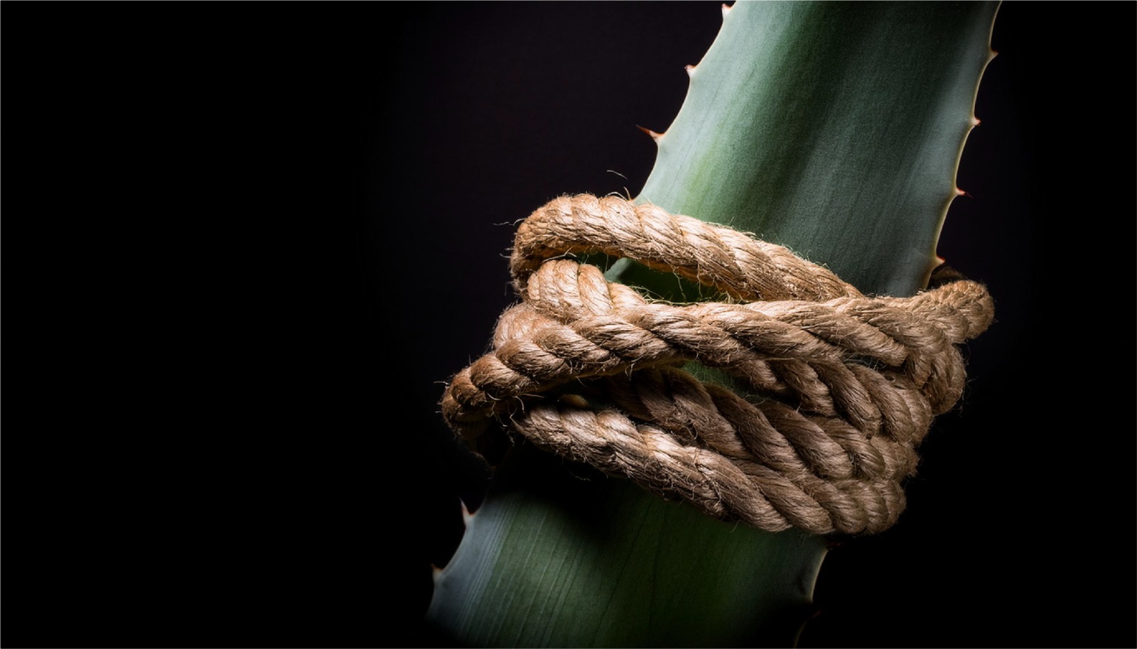 1771032133615654.jpeg 1771032133615654.jpeg