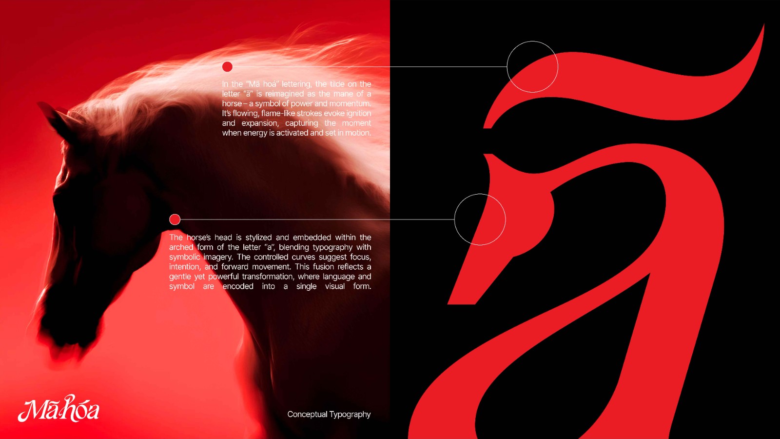 1771925220872298.jpg 1771925220872298.jpg